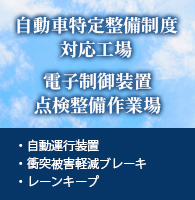 自動車特定整備制度対応工場、電子制御装置点検整備作業場	・自動運行装置・衝突被害軽減ブレーキ・レーンキープ